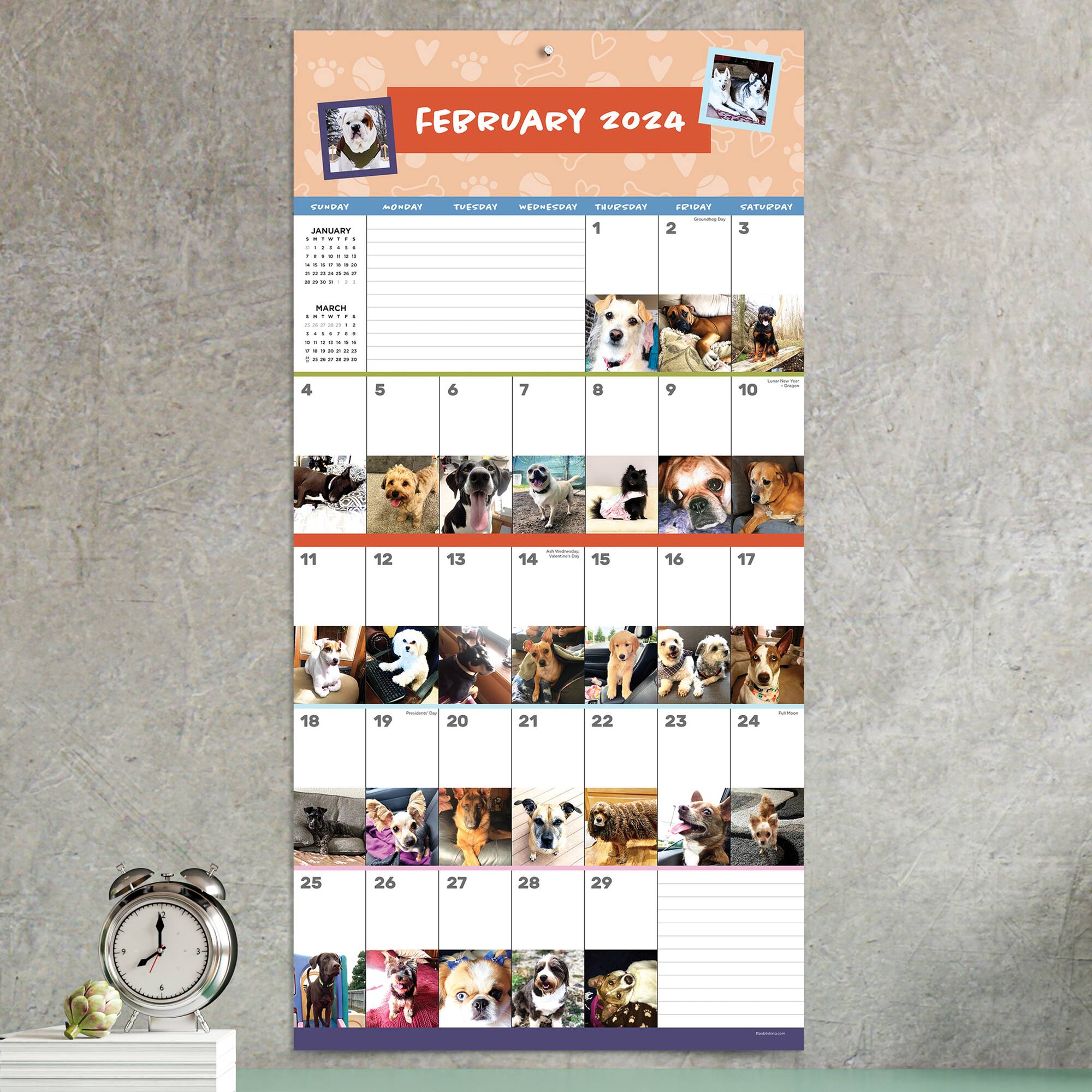 TF Publishing 2024 Dog-A-Day Wall Calendar